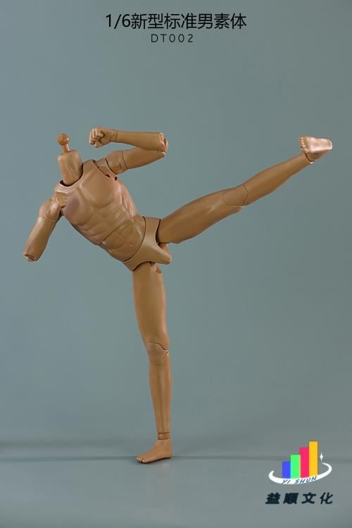 New Type Standard DT002 Male Body 1/6 Scale Figure Gallery Image 6