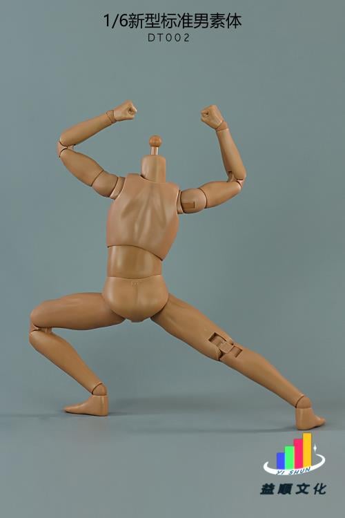 New Type Standard DT002 Male Body 1/6 Scale Figure Gallery Image 7