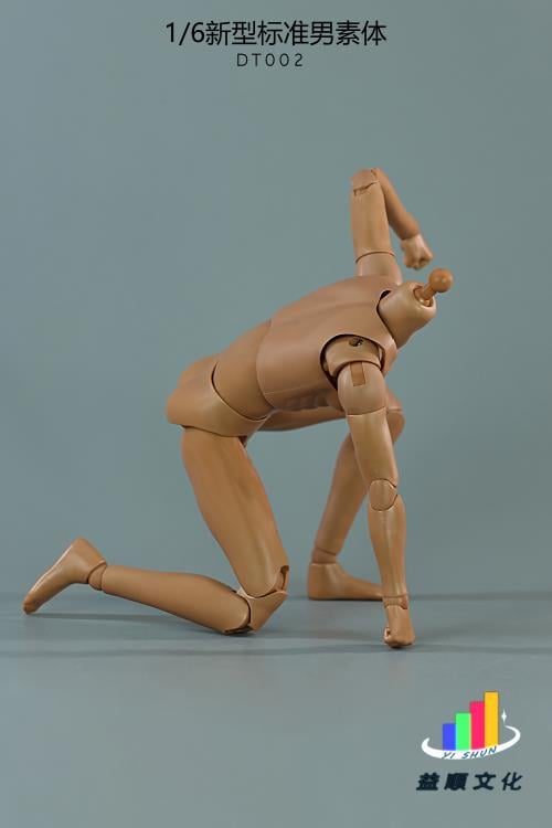 New Type Standard DT002 Male Body 1/6 Scale Figure Gallery Image 3
