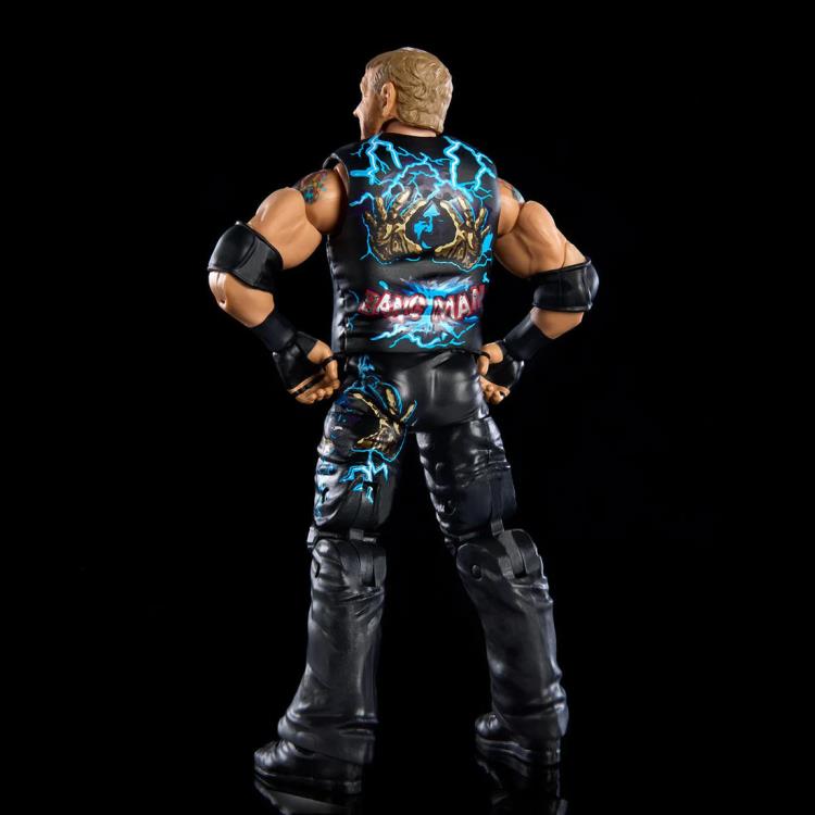 WWE Elite Collection Greatest Hits 2023 Diamond Dallas Page Gallery Image 5