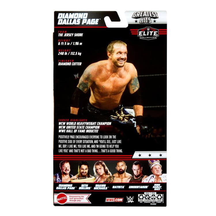 WWE Elite Collection Greatest Hits 2023 Diamond Dallas Page Gallery Image 9