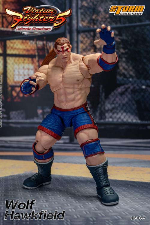 Virtua Fighter 5 Wolf Hawkfield 1/12 Scale BBTS Exclusive Action Figure Gallery Image 3