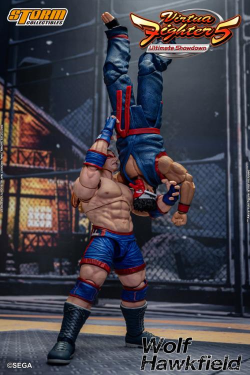 Virtua Fighter 5 Wolf Hawkfield 1/12 Scale BBTS Exclusive Action