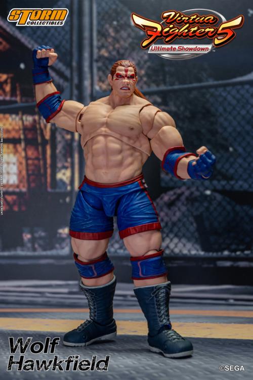 Virtua Fighter 5 Wolf Hawkfield 1/12 Scale BBTS Exclusive Action Figure Gallery Image 7