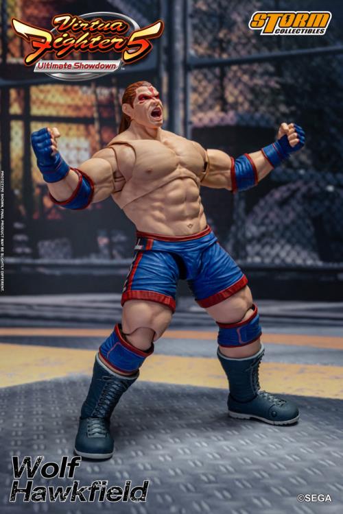 Virtua Fighter 5 Wolf Hawkfield 1/12 Scale BBTS Exclusive Action Figure Gallery Image 5