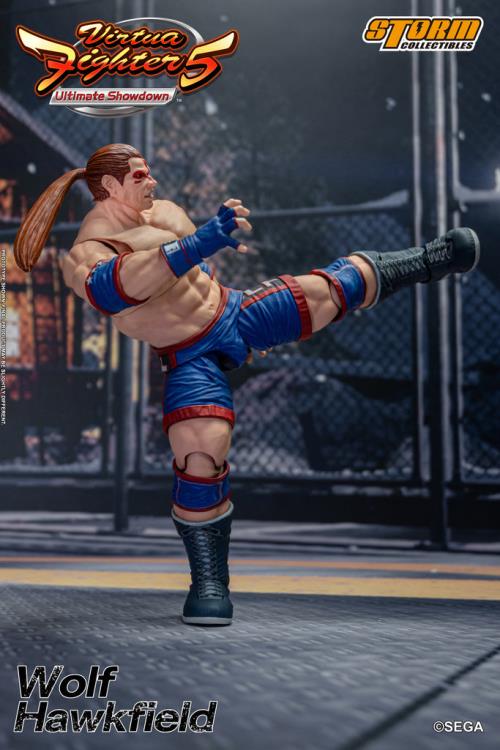 Virtua Fighter 5 Wolf Hawkfield 1/12 Scale BBTS Exclusive Action Figure Gallery Image 6