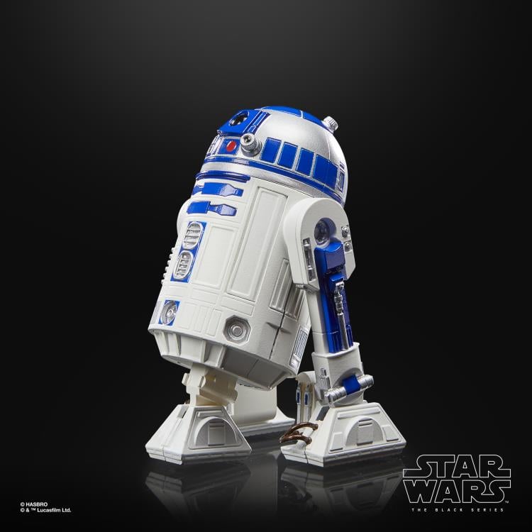 Star Wars 40th Anniversary The Black Series 6" Artoo-Detoo (R2-D2) (Return of the Jedi) Gallery Image 3