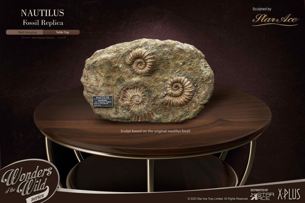 Wonders of the Wild Ammonite (Deluxe Ver.) Miniature Frame & Fossil Replica Set Gallery Image 7