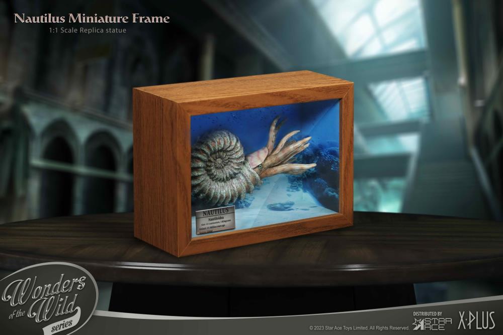 Wonders of the Wild Ammonite (Deluxe Ver.) Miniature Frame & Fossil Replica Set Gallery Image 12