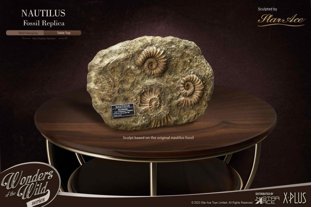 Wonders of the Wild Ammonite (Deluxe Ver.) Miniature Frame & Fossil Replica Set Gallery Image 6