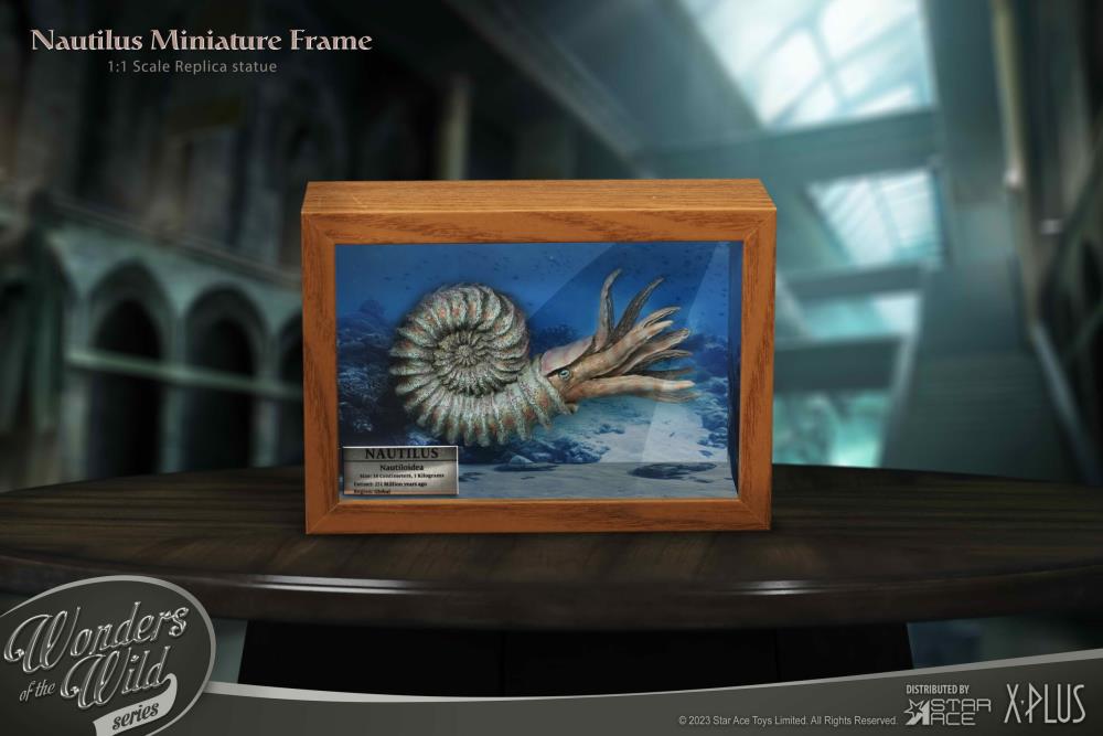 Wonders of the Wild Ammonite (Deluxe Ver.) Miniature Frame & Fossil Replica Set Gallery Image 11