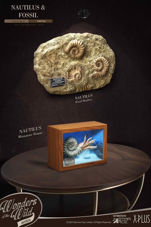 Wonders of the Wild Ammonite (Deluxe Ver.) Miniature Frame & Fossil Replica Set Gallery Image 3