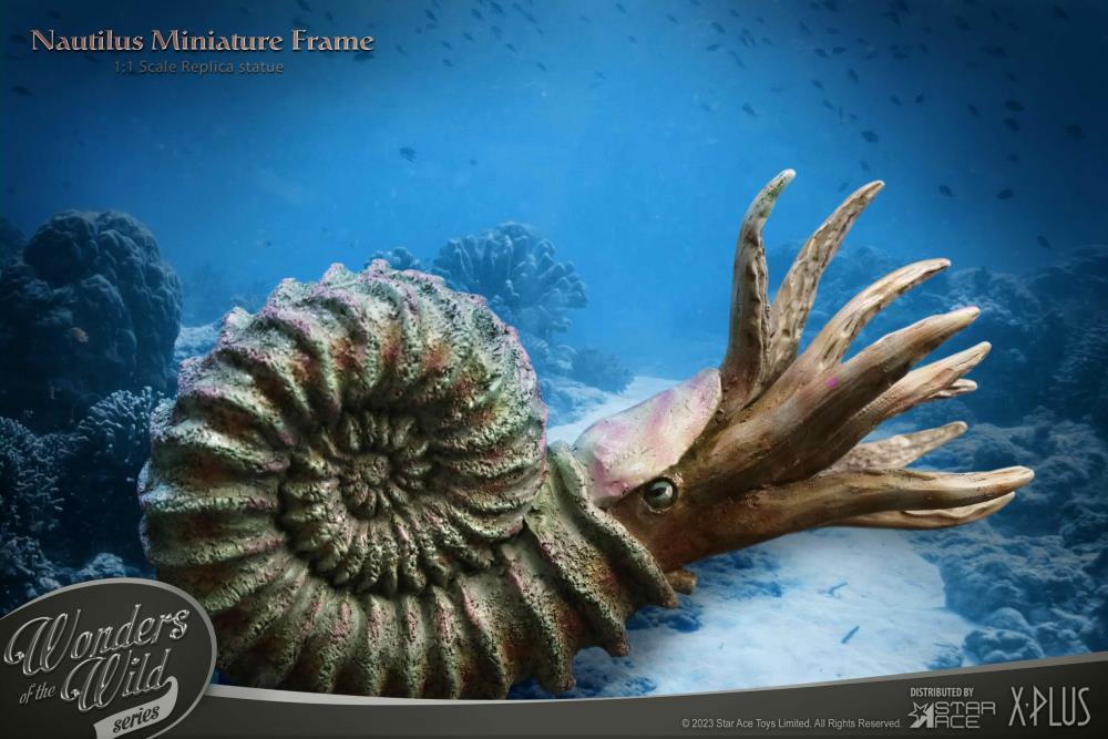 Wonders of the Wild Ammonite (Deluxe Ver.) Miniature Frame & Fossil Replica Set Gallery Image 9