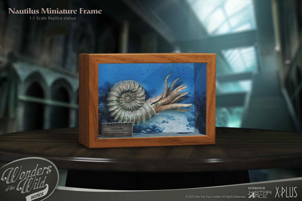 Wonders of the Wild Ammonite (Deluxe Ver.) Miniature Frame & Fossil Replica Set Gallery Image 13
