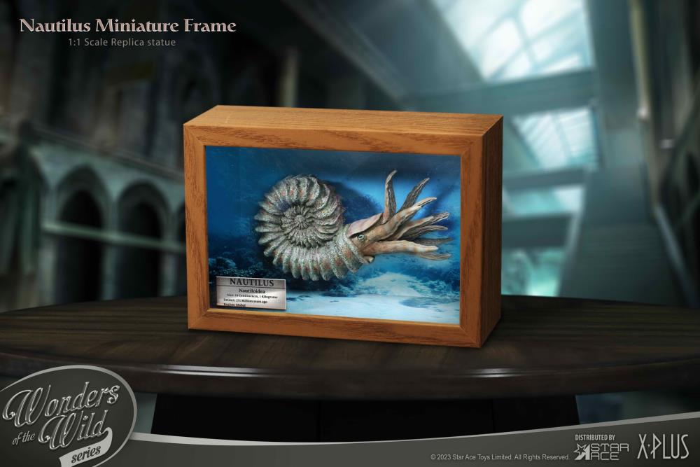 Wonders of the Wild Ammonite (Deluxe Ver.) Miniature Frame & Fossil Replica Set Gallery Image 10
