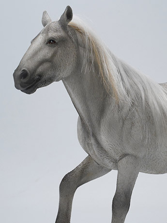 Mongolian Horse (B5) 1/6 Scale Figure Gallery Image 2