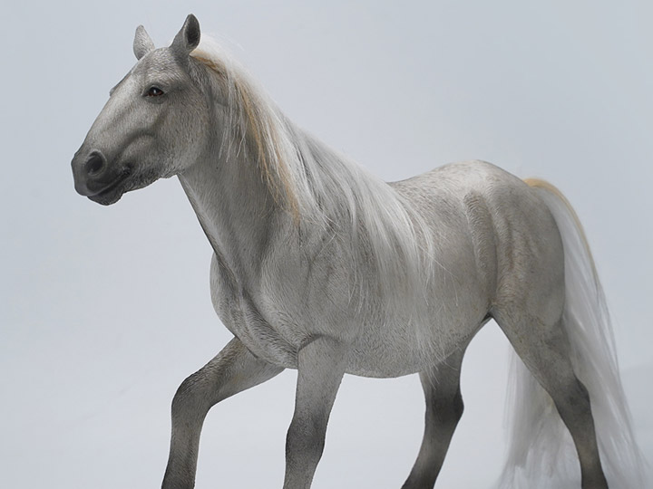 Mongolian Horse (B5) 1/6 Scale Figure Gallery Image 1