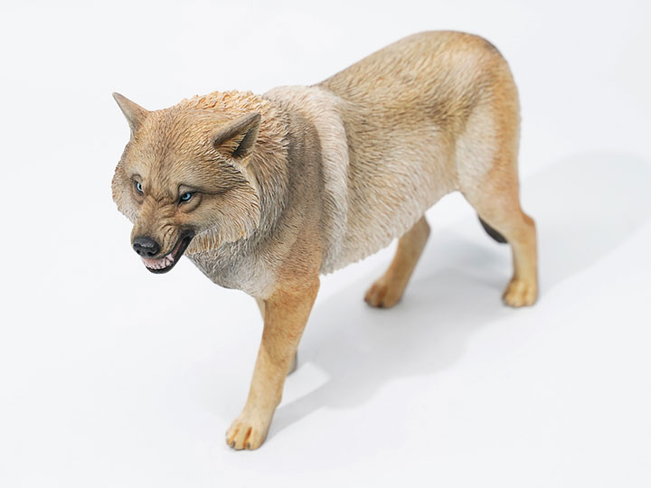 Tibetan Wolf (Ver. C) 1/6 Scale Figure Gallery Image 1