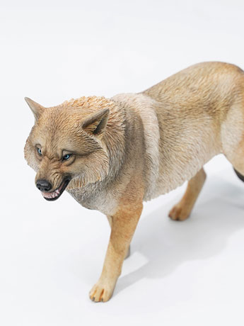 Tibetan Wolf (Ver. C) 1/6 Scale Figure Gallery Image 2