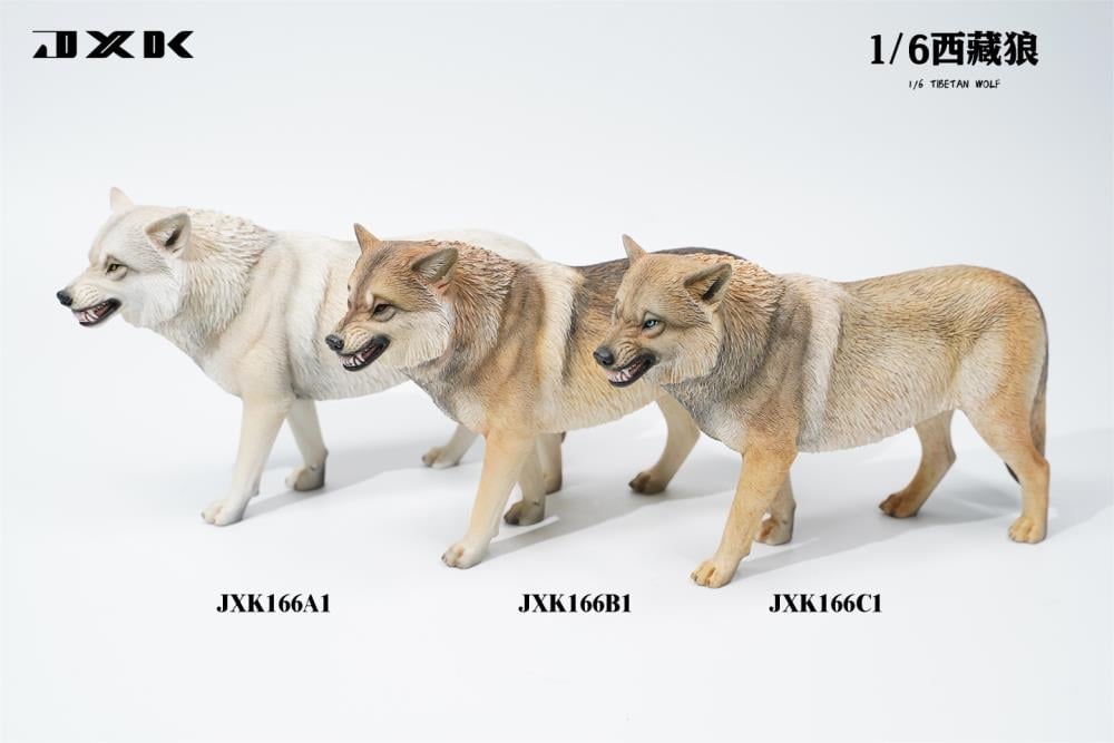 Tibetan Wolf (Ver. C) 1/6 Scale Figure Gallery Image 4