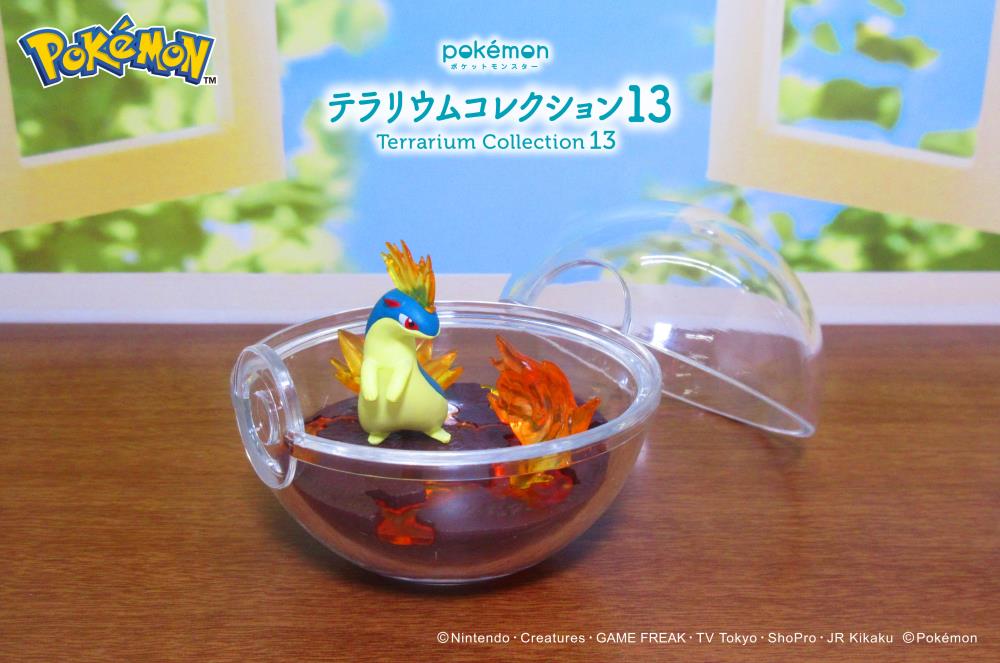 Pokemon Terrarium Collection Vol.13 Boxed Set of 6 Capsules Gallery Image 8