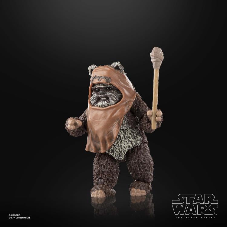 Star Wars: The Black Series 6" Wicket W. Warrick (Return of the Jedi) Gallery Image 5