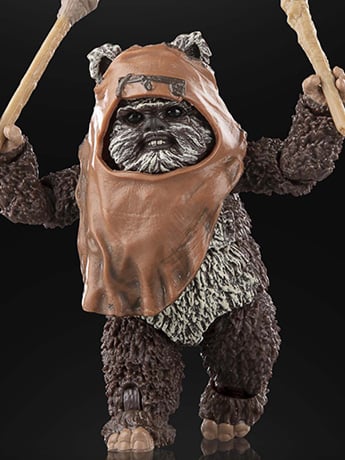 Star Wars: The Black Series 6" Wicket W. Warrick (Return of the Jedi) Gallery Image 2