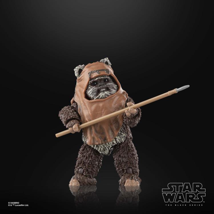 Star Wars: The Black Series 6" Wicket W. Warrick (Return of the Jedi) Gallery Image 7