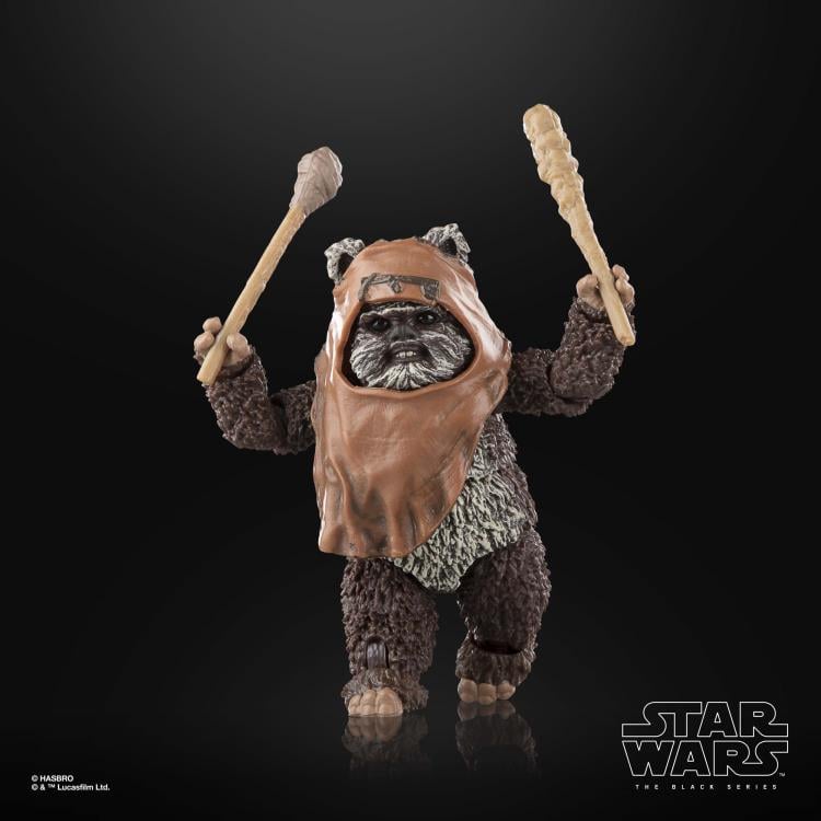 Star Wars: The Black Series 6" Wicket W. Warrick (Return of the Jedi) Gallery Image 3