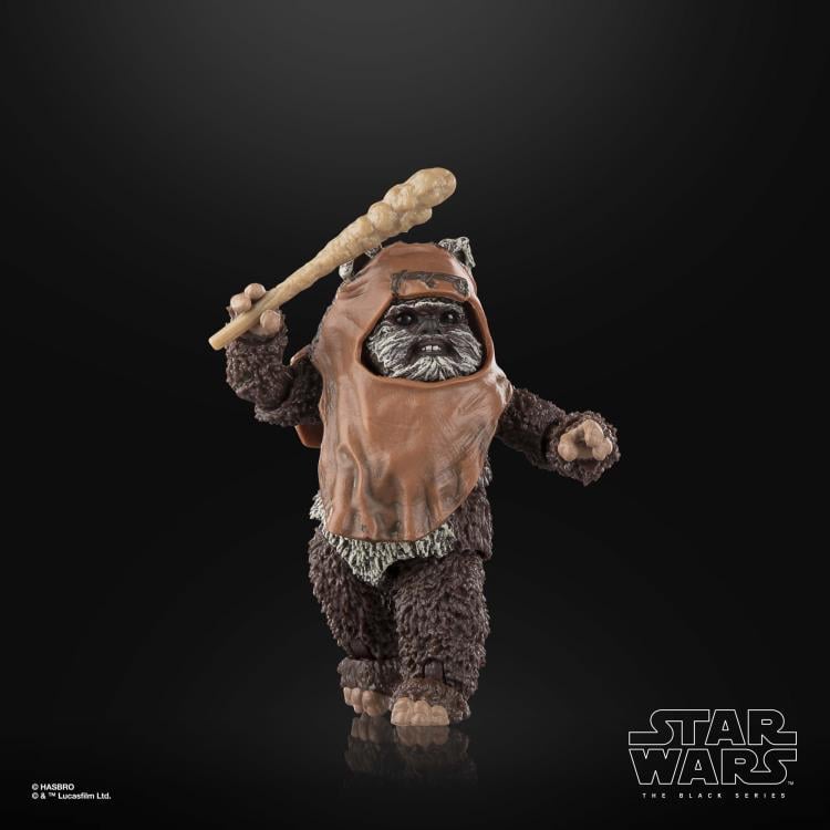 Star Wars: The Black Series 6" Wicket W. Warrick (Return of the Jedi) Gallery Image 4