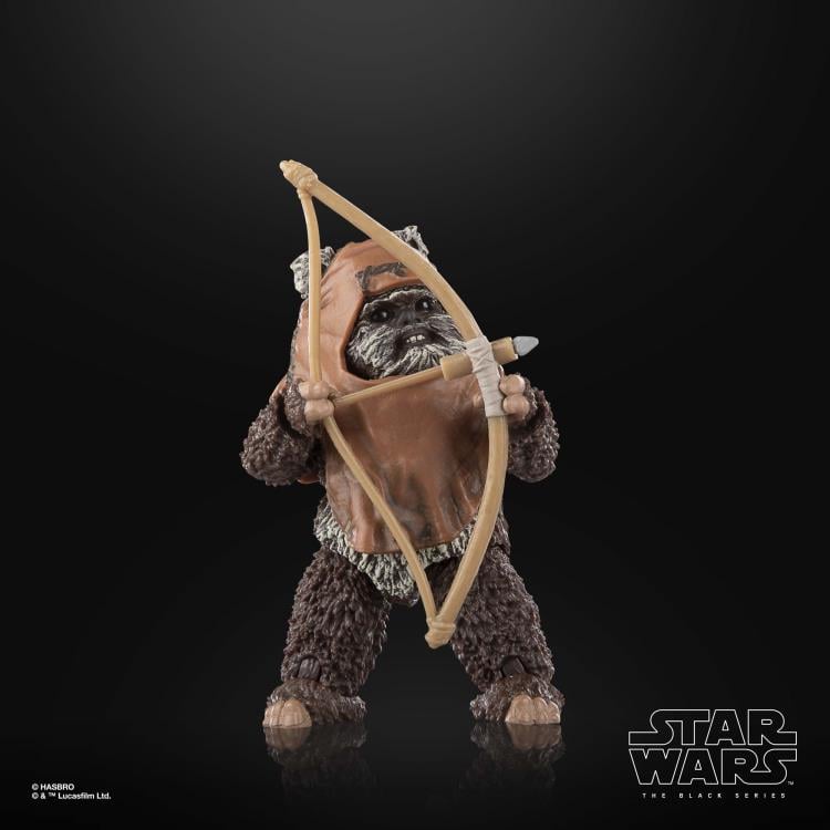 Star Wars: The Black Series 6" Wicket W. Warrick (Return of the Jedi) Gallery Image 9