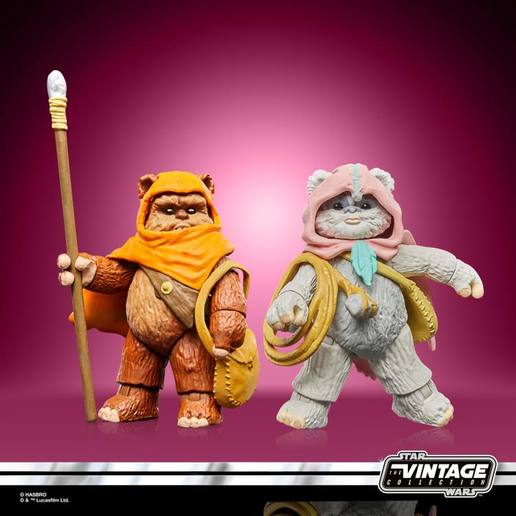 Star Wars: The Vintage Collection Wicket W. Warrick & Kneesaa 2-Pack (Star Wars: Ewoks) Gallery Image 3