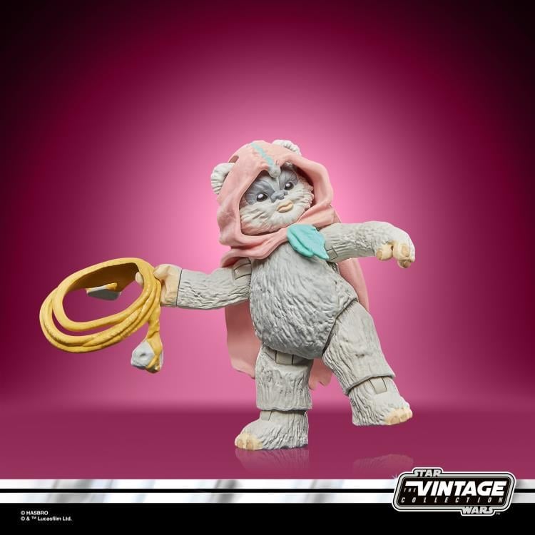 Star Wars: The Vintage Collection Wicket W. Warrick & Kneesaa 2-Pack (Star Wars: Ewoks) Gallery Image 20