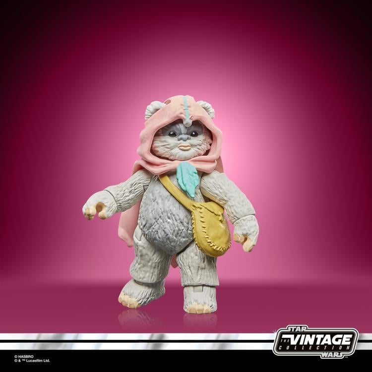 STAR WARS 『EWOKS』 ラストワン Star Wars: The Vintage Collection Wicket W. Warrick & Kneesaa 2