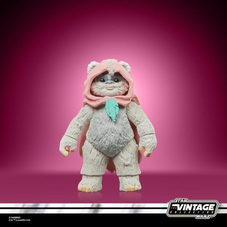 Star Wars: The Vintage Collection Wicket W. Warrick & Kneesaa 2-Pack (Star Wars: Ewoks) Gallery Image 19