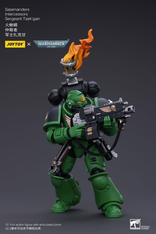 Warhammer 40k Salamanders Intercessors Segeant Tsek'gan 1/18 Scale Action Figure Gallery Image 9