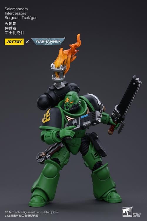 Warhammer 40k Salamanders Intercessors Segeant Tsek'gan 1/18 Scale Action Figure Gallery Image 6