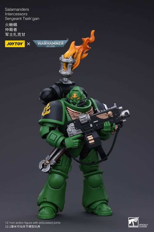 Warhammer 40k Salamanders Intercessors Segeant Tsek'gan 1/18 Scale Action Figure Gallery Image 4