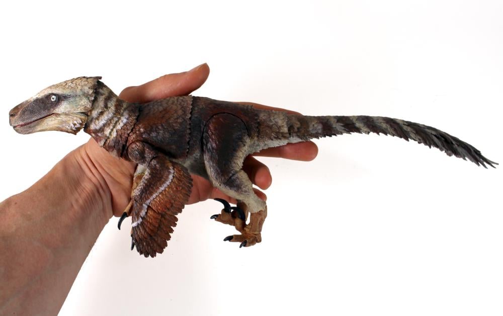 Beasts of the Mesozoic: Raptor Series Utahraptor ostrommaysi 1/18 Scale Figure Gallery Image 7