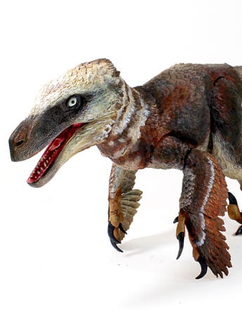 Beasts of the Mesozoic: Raptor Series Utahraptor ostrommaysi 1/18 Scale Figure Gallery Image 2