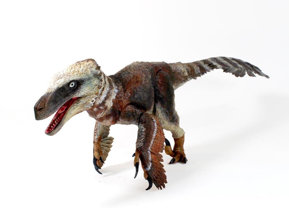 Beasts of the Mesozoic: Raptor Series Utahraptor ostrommaysi 1/18 Scale Figure Gallery Image 3