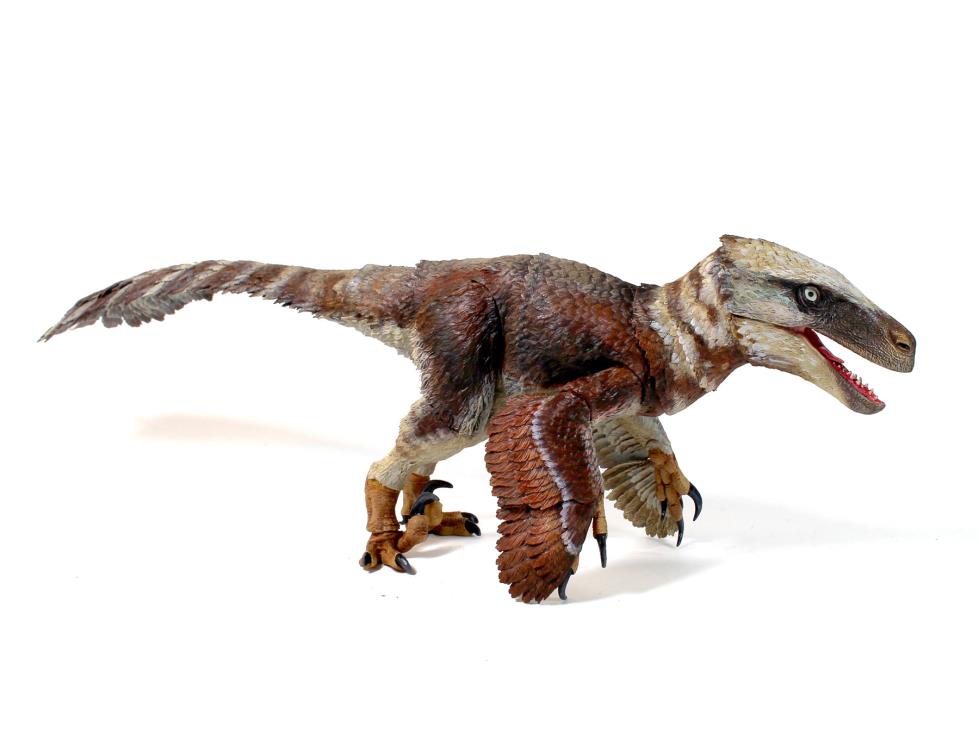 Beasts of the Mesozoic: Raptor Series Utahraptor ostrommaysi 1/18 Scale Figure Gallery Image 5