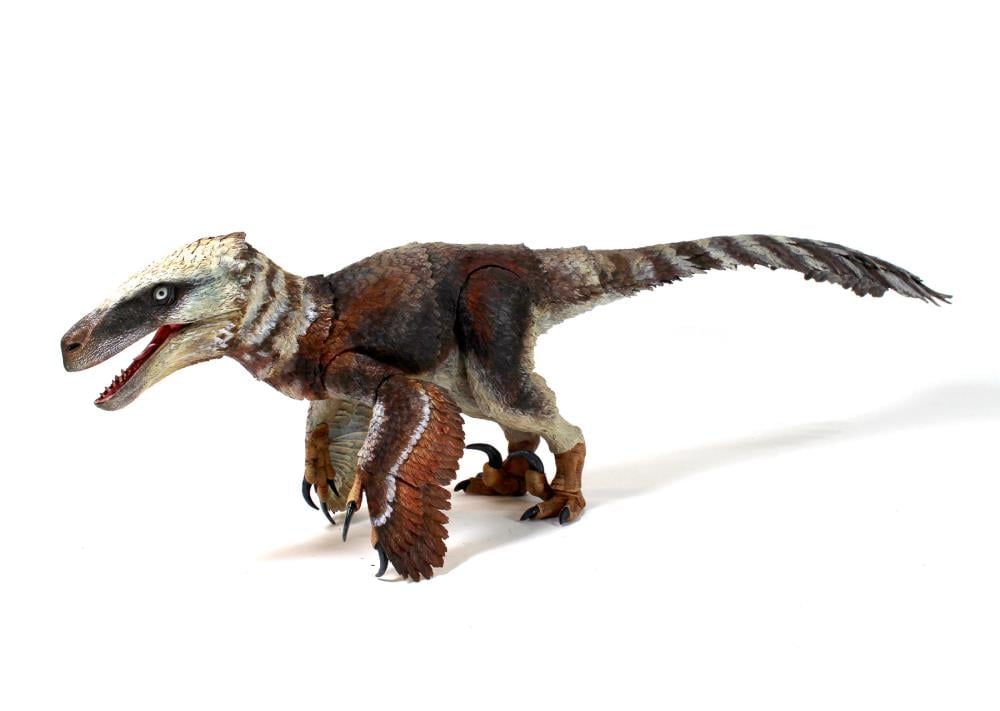 Beasts of the Mesozoic: Raptor Series Utahraptor ostrommaysi 1/18 Scale Figure Gallery Image 4