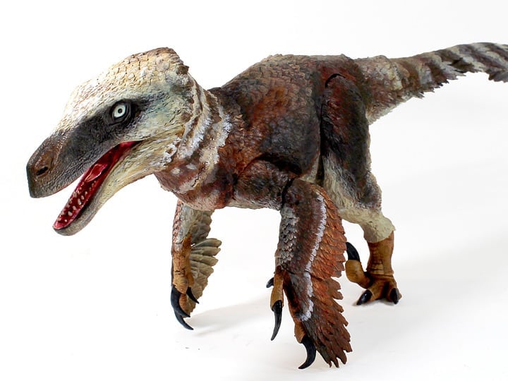 Beasts of the Mesozoic: Raptor Series Utahraptor ostrommaysi 1/18 Scale Figure Gallery Image 1