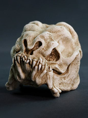 Star Wars Rancor Skull Mini Sculpture Gallery Image 2