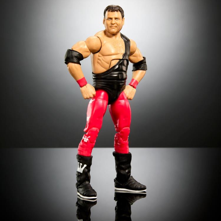 WWE Survivor Series Elite Collection Jerry "The King" Lawler (British Bulldog BAF) Gallery Image 3