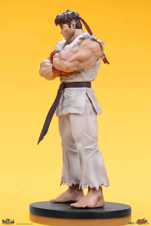 Street Fighter Street Jam Ryu & Dan 1/10 Scale Statue Set