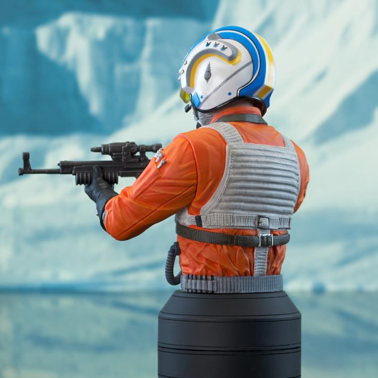 The Mandalorian Carson Teva 1/6 Scale SDCC 2023 Limited Edition Bust Gallery Image 5