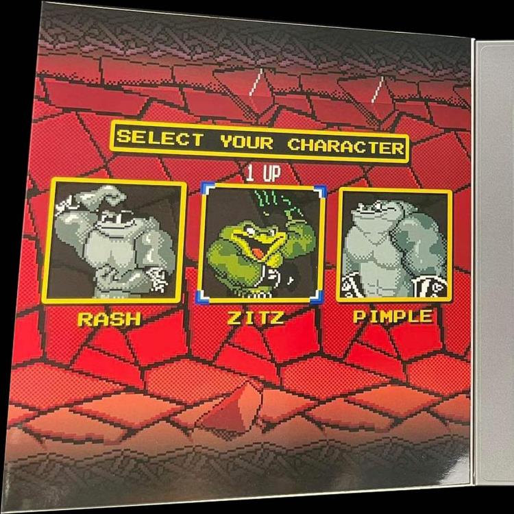 Battletoads Zitz ToyConNJ Exclusive Action Figure Gallery Image 7