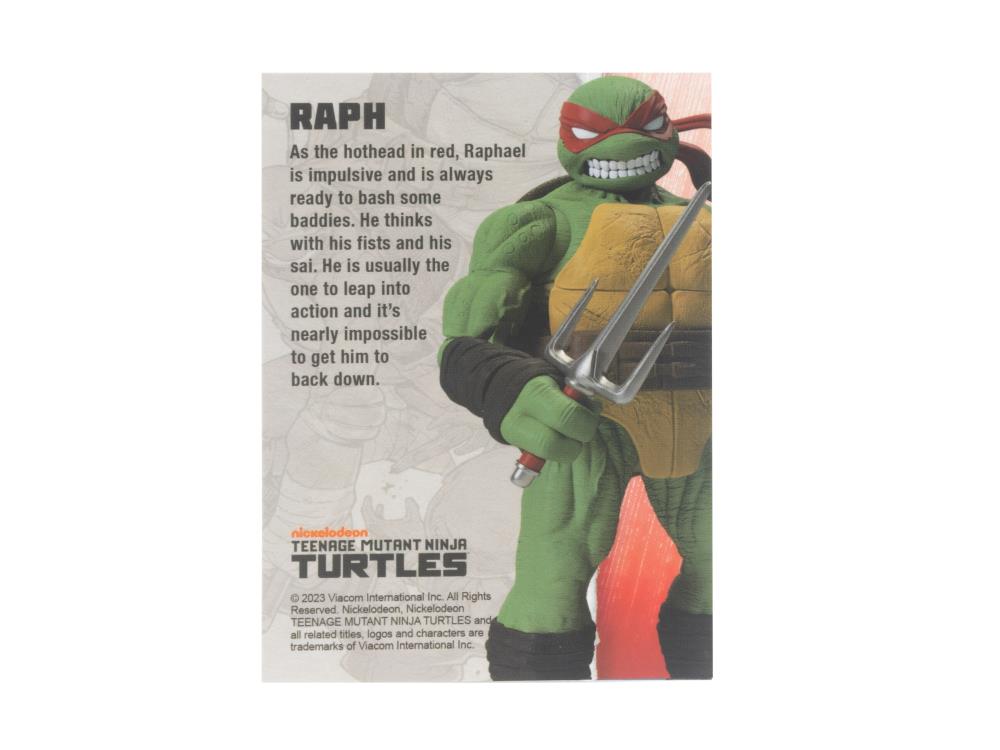 Teenage Mutant Ninja Turtles BST AXN Comic Heroes Raphael Gallery Image 8
